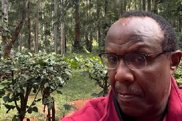 David Ndii baffles Kenyans with reality on the country's economy