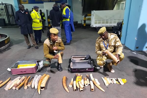 Indonesian national arrested at JKIA with ivory worth Ksh 10M