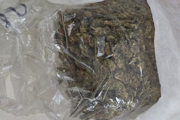 Can Woman nabbed in possession of bhang and cocaine in Nairobi