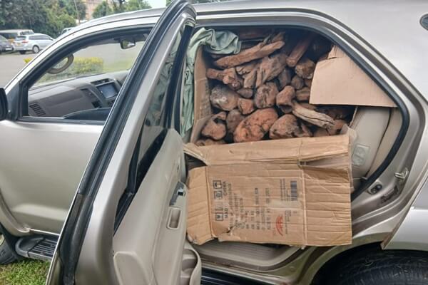 Sandal Two arrested transporting sandalwood worth Ksh 5 million