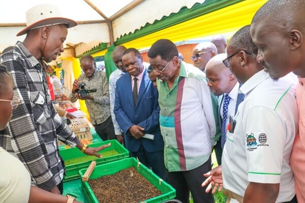 Siaya County, May 19, 2026 ..............Siaya County Government has reaffirmed its commitment to building a productive, profitable, resilient and inclusive agricultural economy through strategic investments in farmer institutions, irrigation, value addition and youth-driven agribusiness. Speaking during the National Agricultural Value Chain Development Project (NAVCDP) Day in Siaya County, Governor H.E. James Orengo presided over the issuance of cheques to Cooperative Societies, SACCOs and Farmer Producer Organizations, alongside flagging off personal protective equipment to all Siaya markets aimed at strengthening farmer support services across the county. The event also marked the oathing of 150 Young Agripreneurs who will support agricultural extension services and farmer outreach at the grassroots level. Governor Orengo said agriculture remains the backbone of Siaya's economy, contributing nearly 60 percent of the county's Gross County Product, equivalent to approximately KSh 9.2 billion annually. 